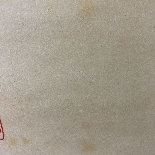 掛け軸　『雅』玄道吾心　桐箱付