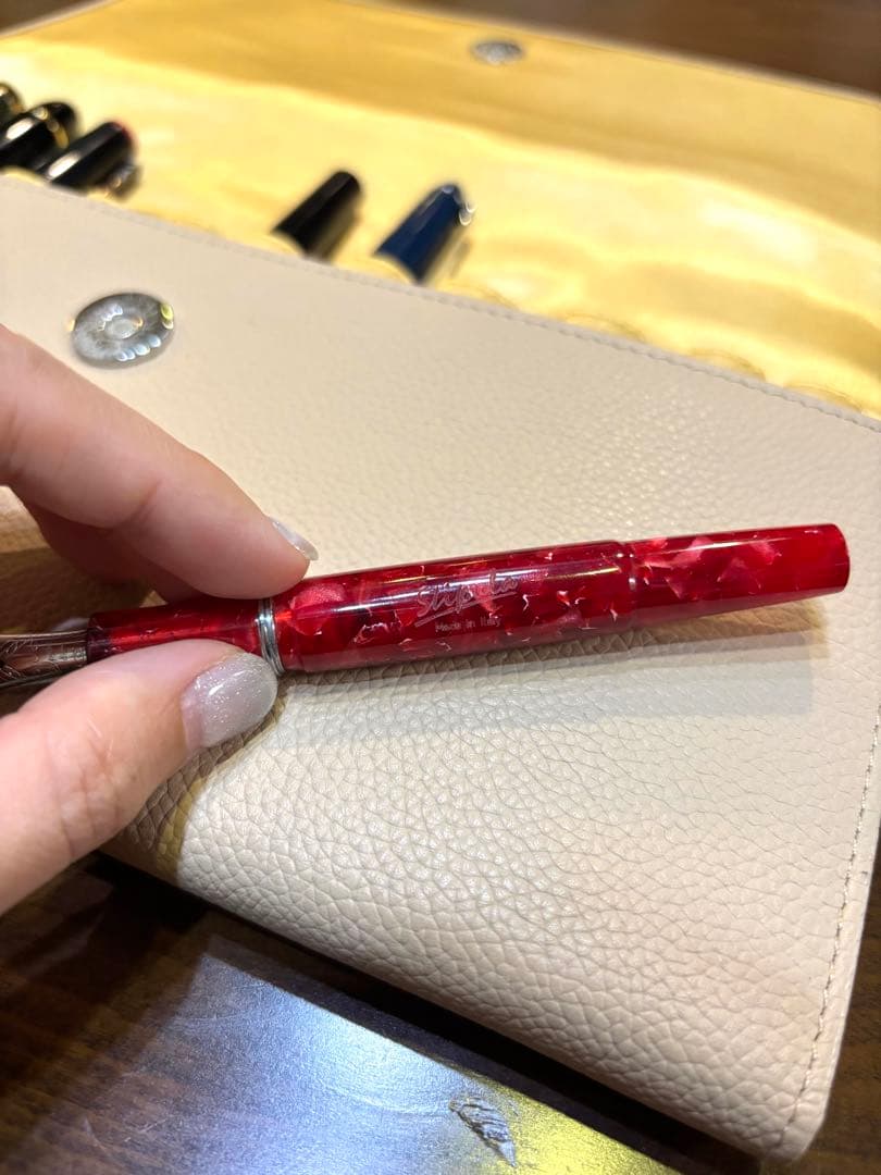 【stipula】スティピュラ 万年筆 イリディウム ペン先　イタリア製 中古