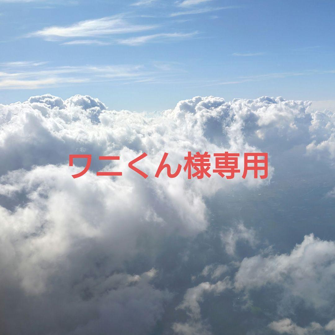 WANIMA BAMBOOM NIGHT ブランケット