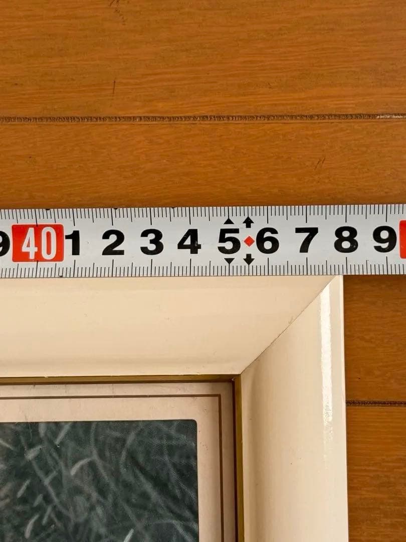 ルアーン・マニング　馬の絵画 白フレーム付き