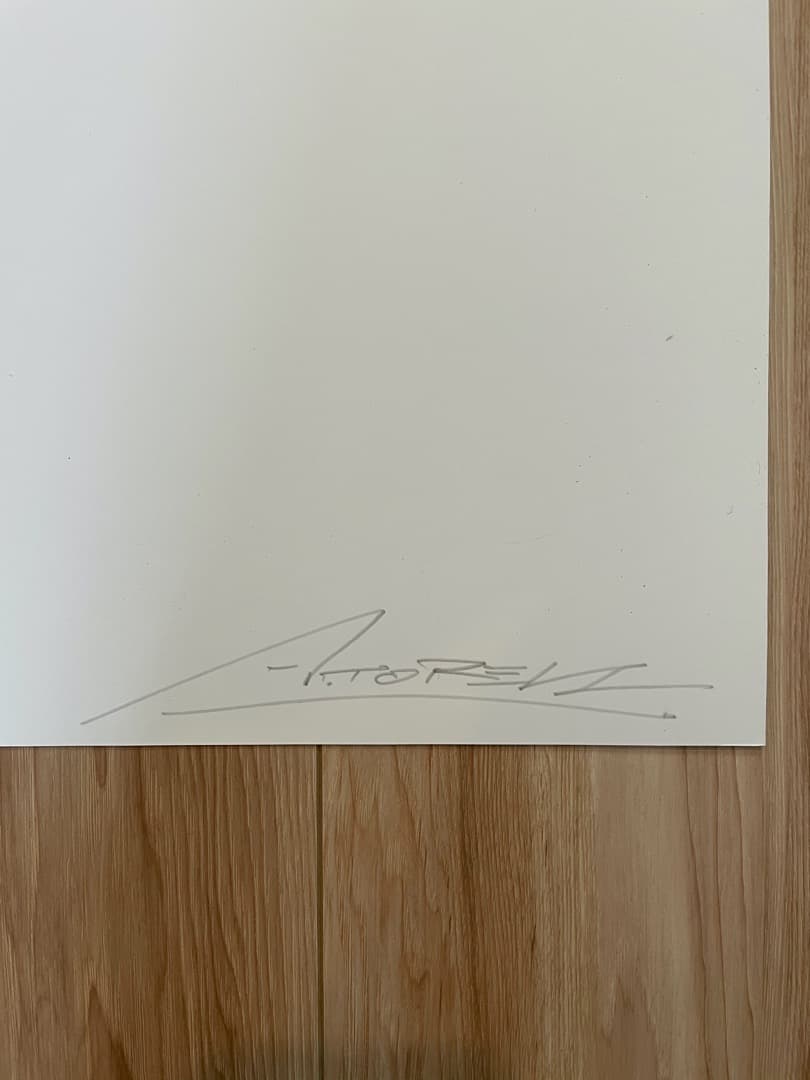 【超希少】ANGEL TOREN - VISLUMBRA