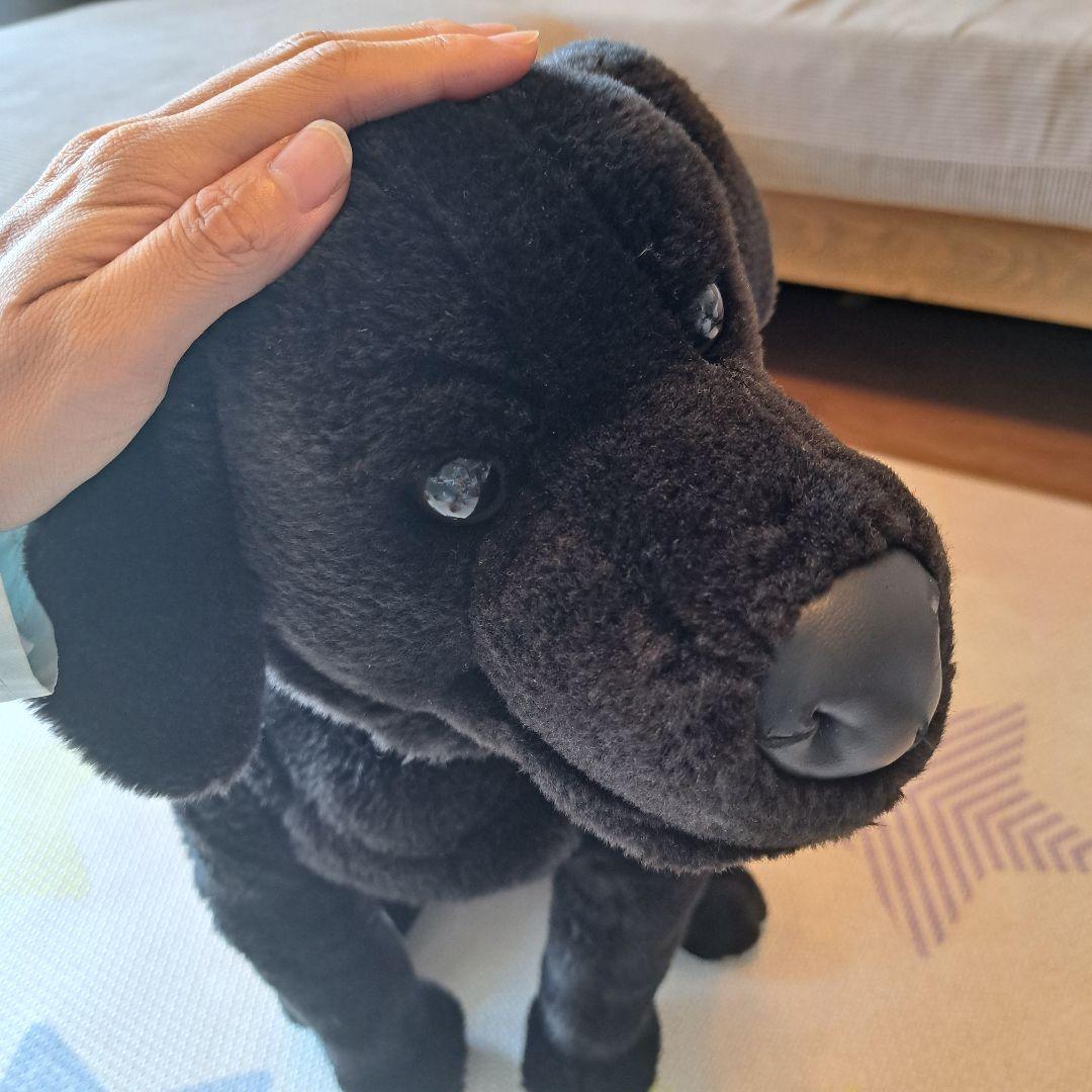 ラブラドール　アニマルアレイ　ぬいぐるみ　ブラック　等身大　ビッグサイズ　犬　黒