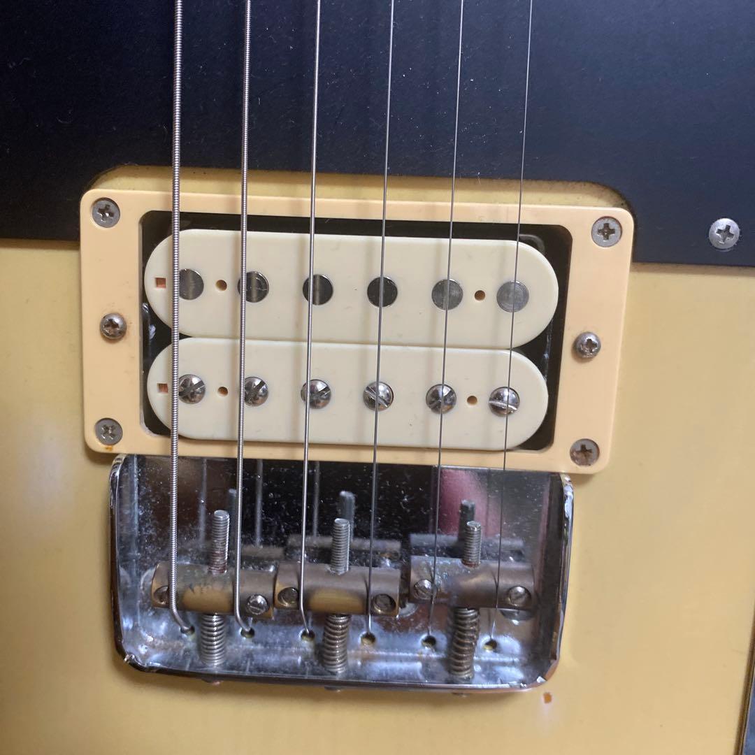 EDWARDS テレギブ　ESP