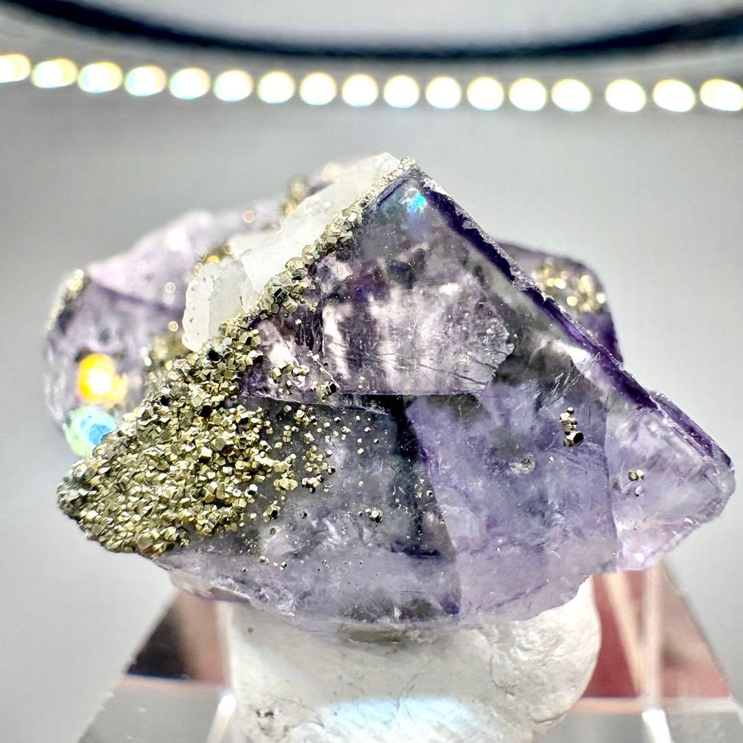 602 中国 ヤオガンシャン産 フローライト&パイライト