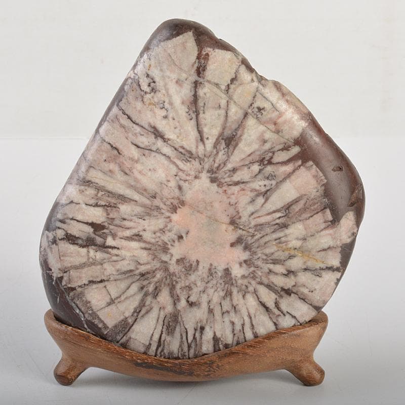 天然石　鑑賞石　菊花石　置物　重さ約614g　唐木台付　C　R7284