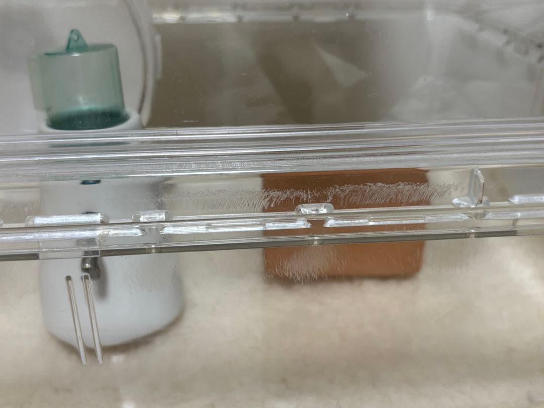 ハムスター飼育セット(ルーミィ60＋19品)