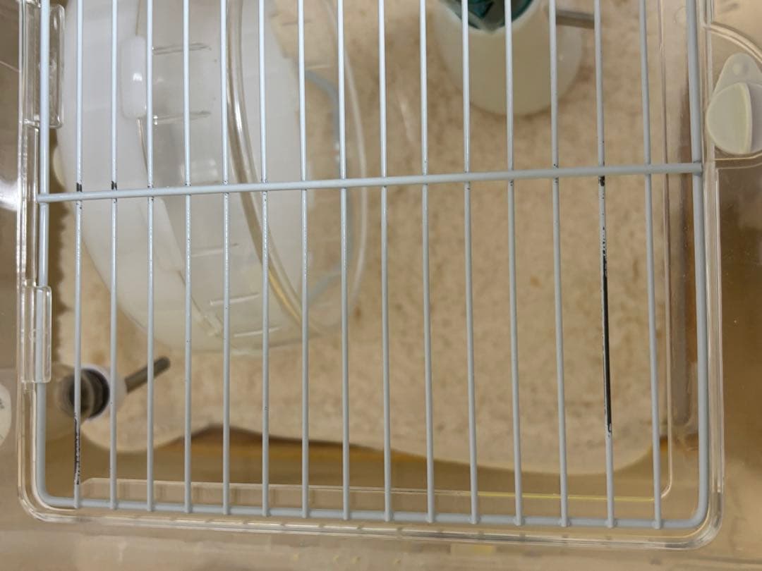 ハムスター飼育セット(ルーミィ60＋19品)