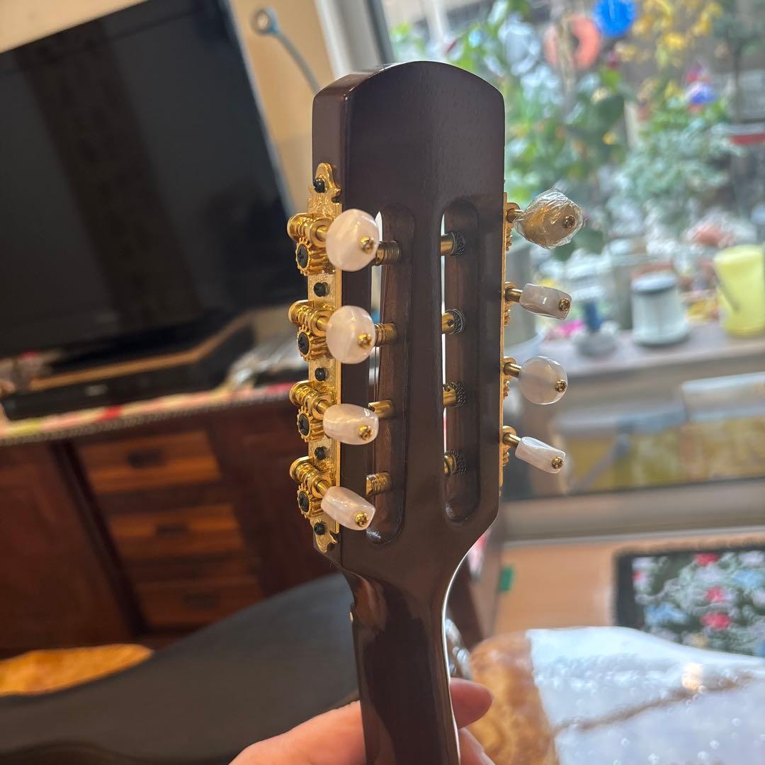 SUZUKI マンドリン M-60 美品 ハードケース付き