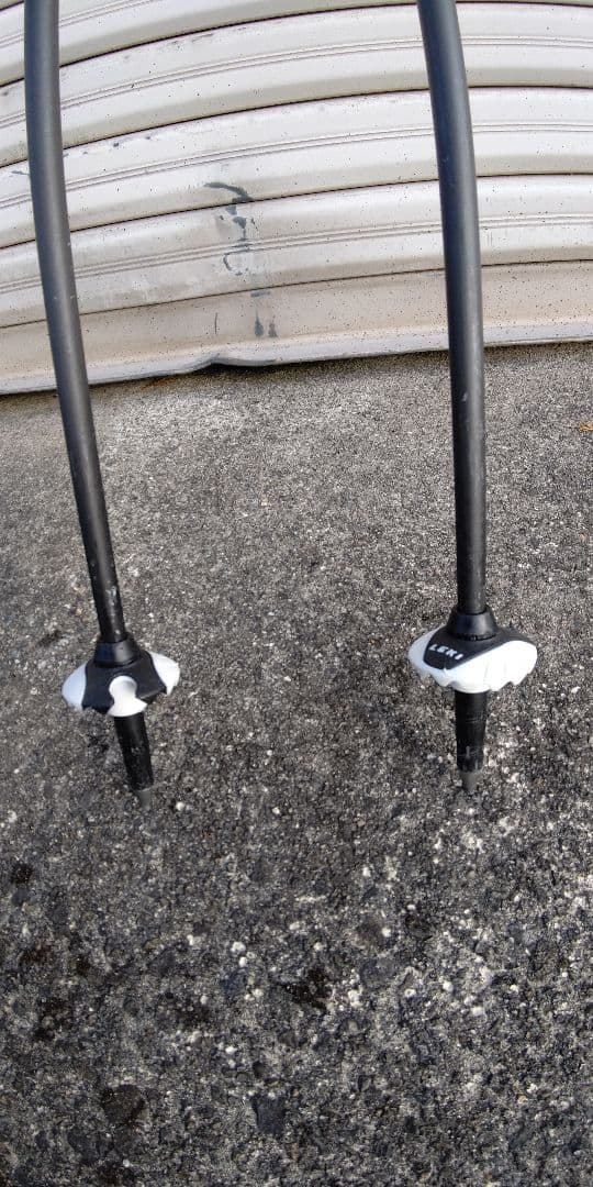 LEKI PEAK スキー ストック