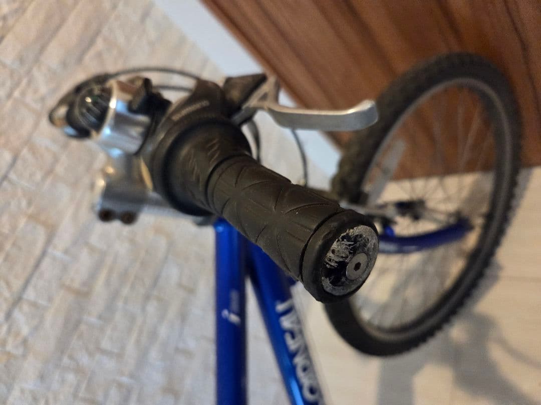 あかみや♪ ルイガノ LOUIS GARNEAU 22インチ（キッズ）