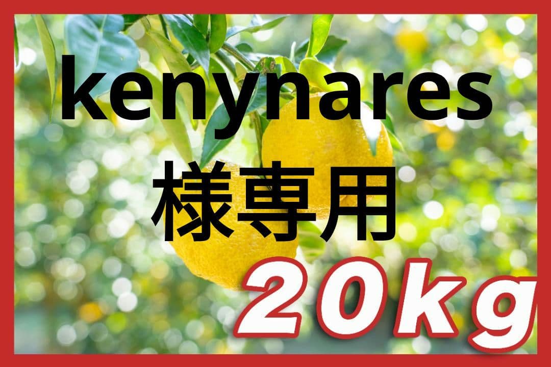 ①kenynares高知県産本柚子約20kg（20/60）