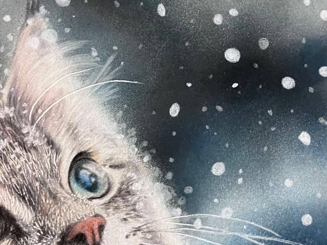 満天の雪 色鉛筆画 パステル
