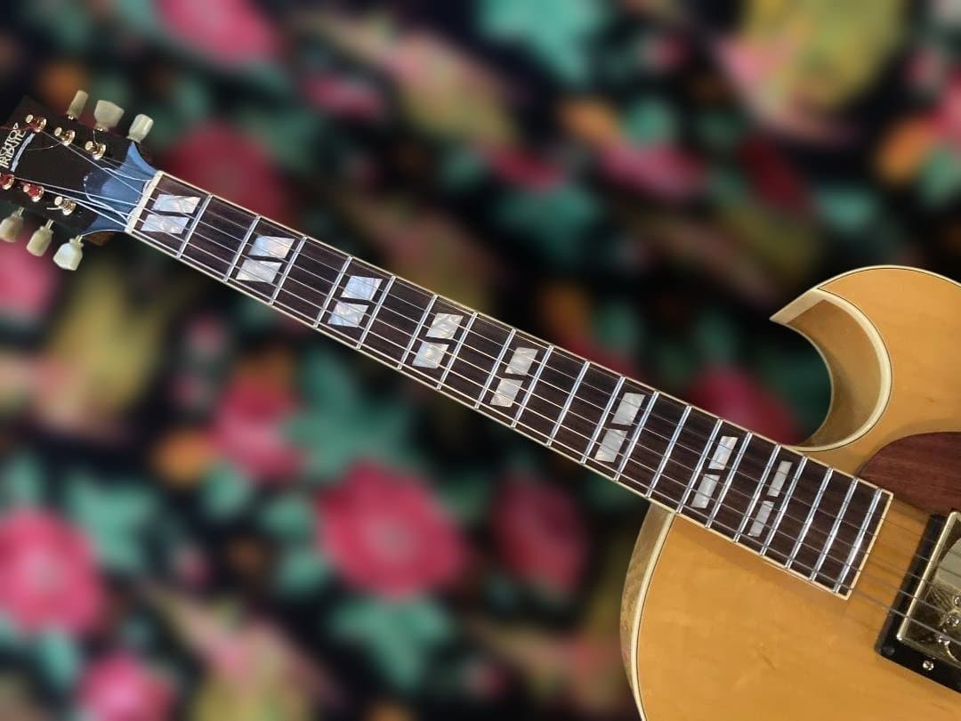 ギター Archtop Tribute AT-102