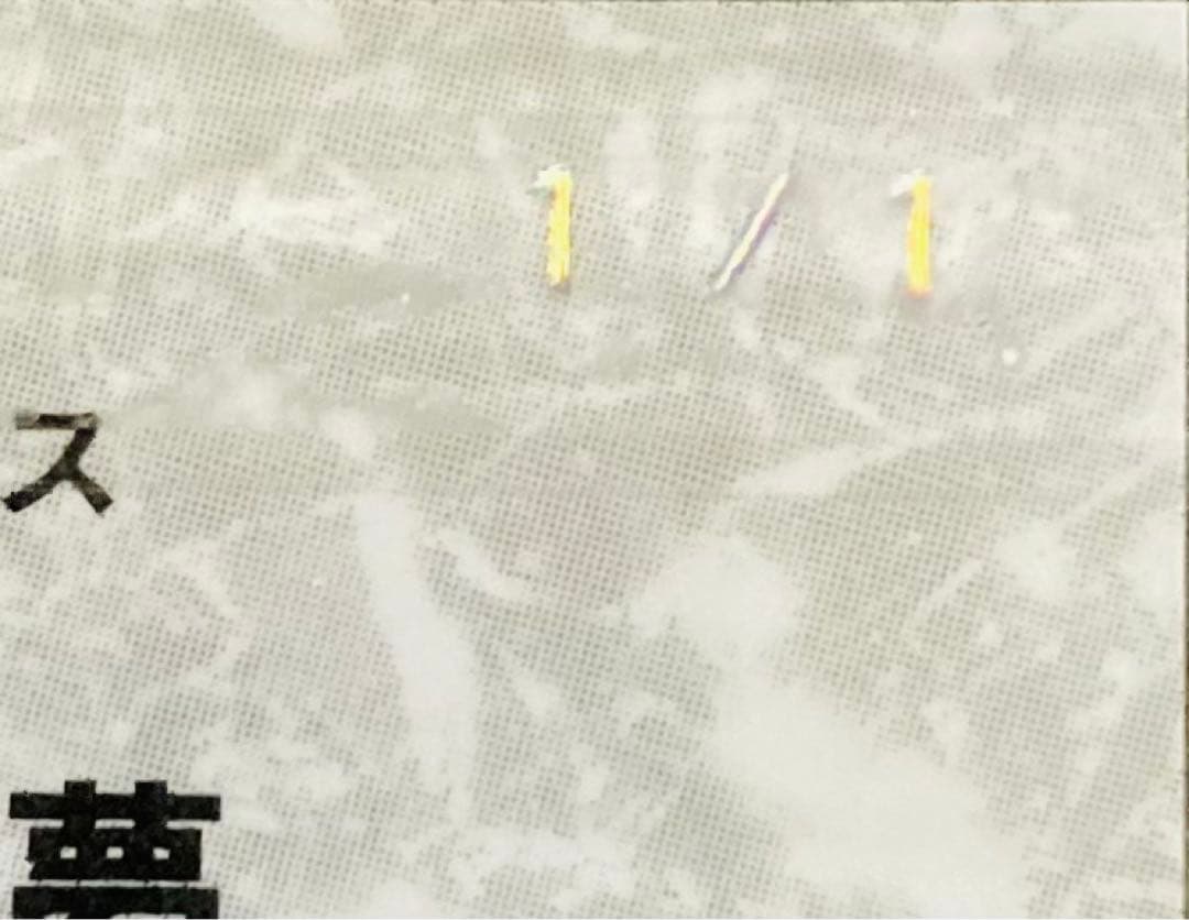 【1of1】中野拓夢 阪神タイガース ホロ版パラレル EPOCH2023 NPB