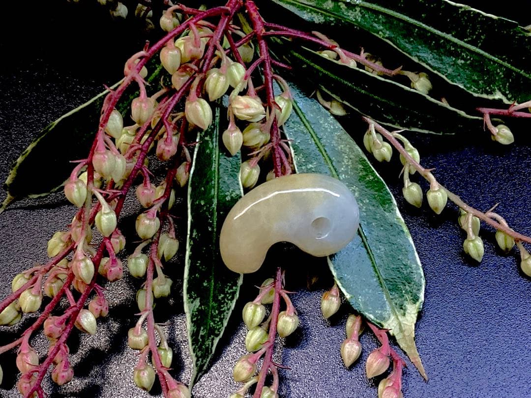 ✳一番数少ない【黄色】　半額以下の9800円　鑑別書無しの安価卸し‼️　本物保証‼️