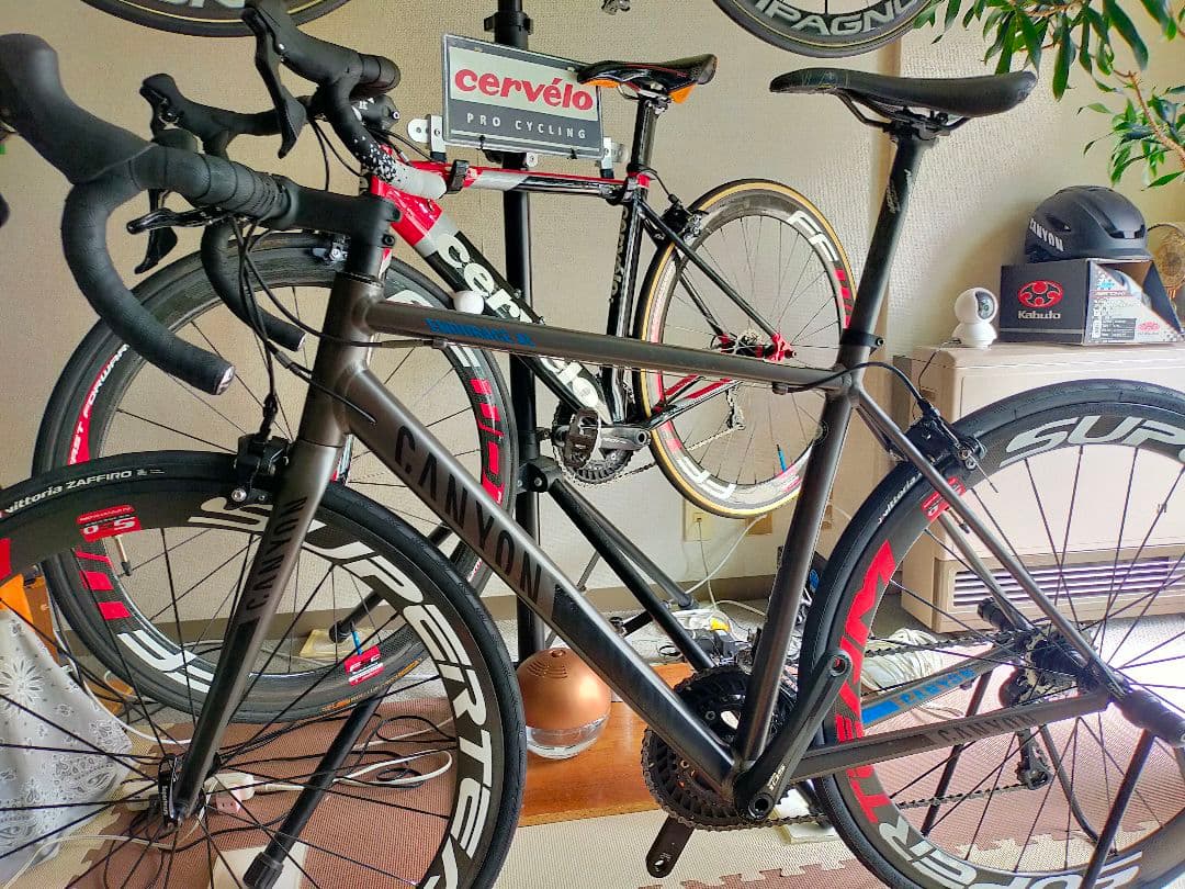 CANYON ENDURACE AL フレームセット105コンポ一式付き