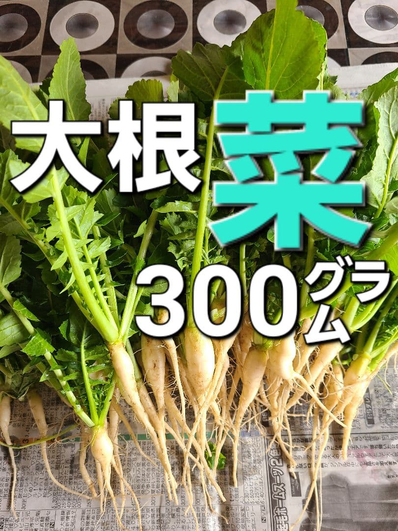大根　大根菜　大根葉　野菜　300㌘～