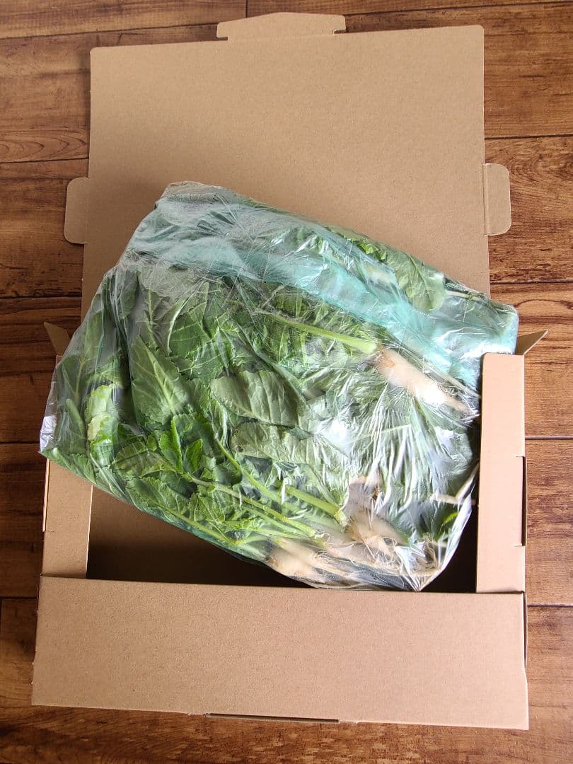 大根　大根菜　大根葉　野菜　300㌘～