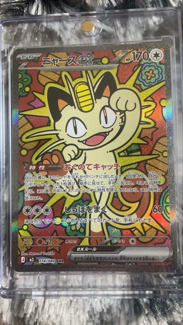 早い者勝ち！ニャース sar ホロかけあり