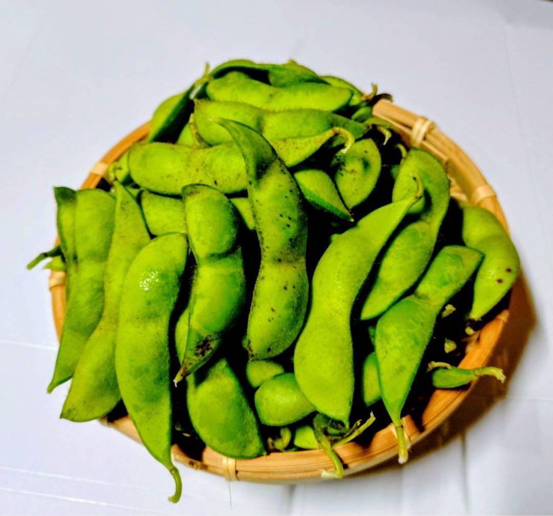 作州黒枝豆　丹波種　8kg