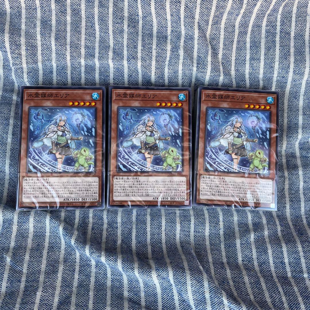 遊戯王 THE CHRONICLES 精霊術の使い　21セット分　なんは