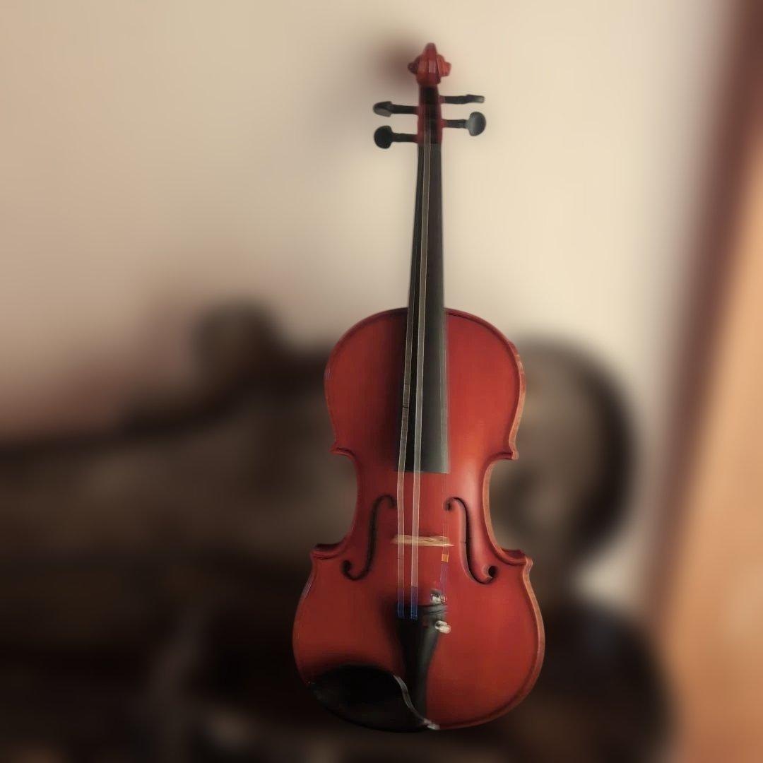 Pygmalius バイオリン ST-02 1/2 1996年製 弓付き
