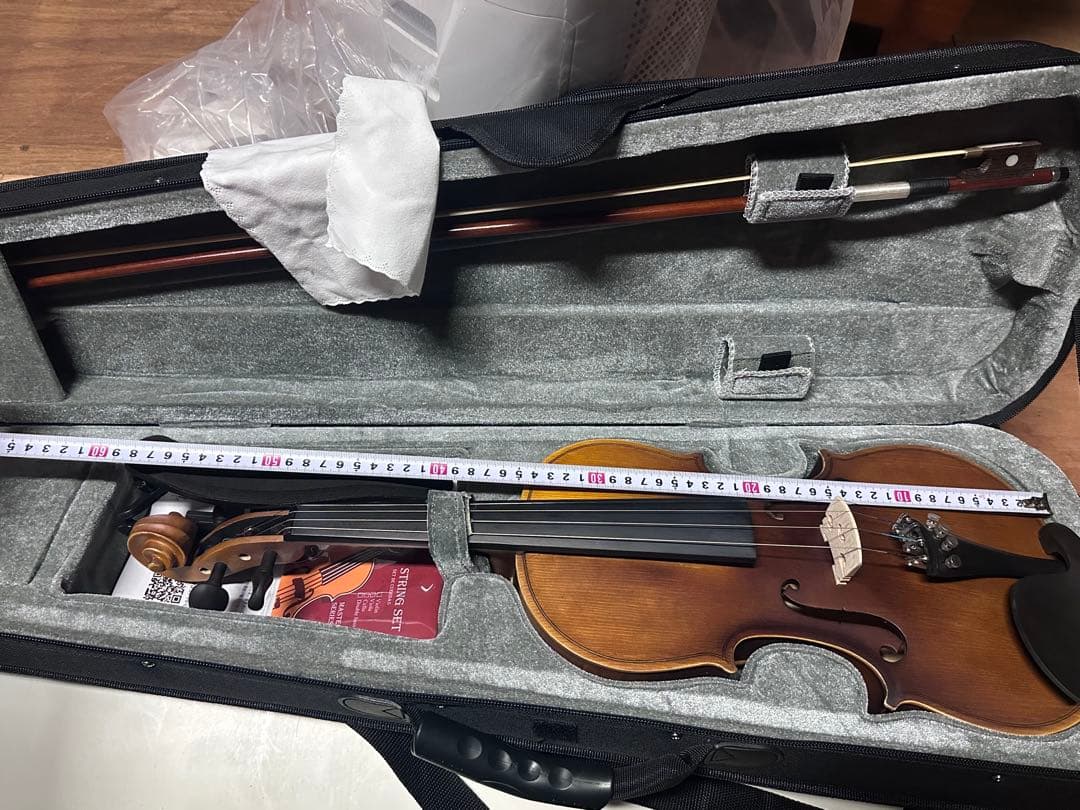 希少 バイオリンHallstatt ハルシュタット V 12 付属品多数