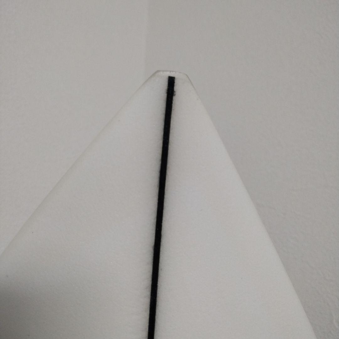 パイゼルサーフボード Red Tiger 5'10 手渡値引有り ハードケース付