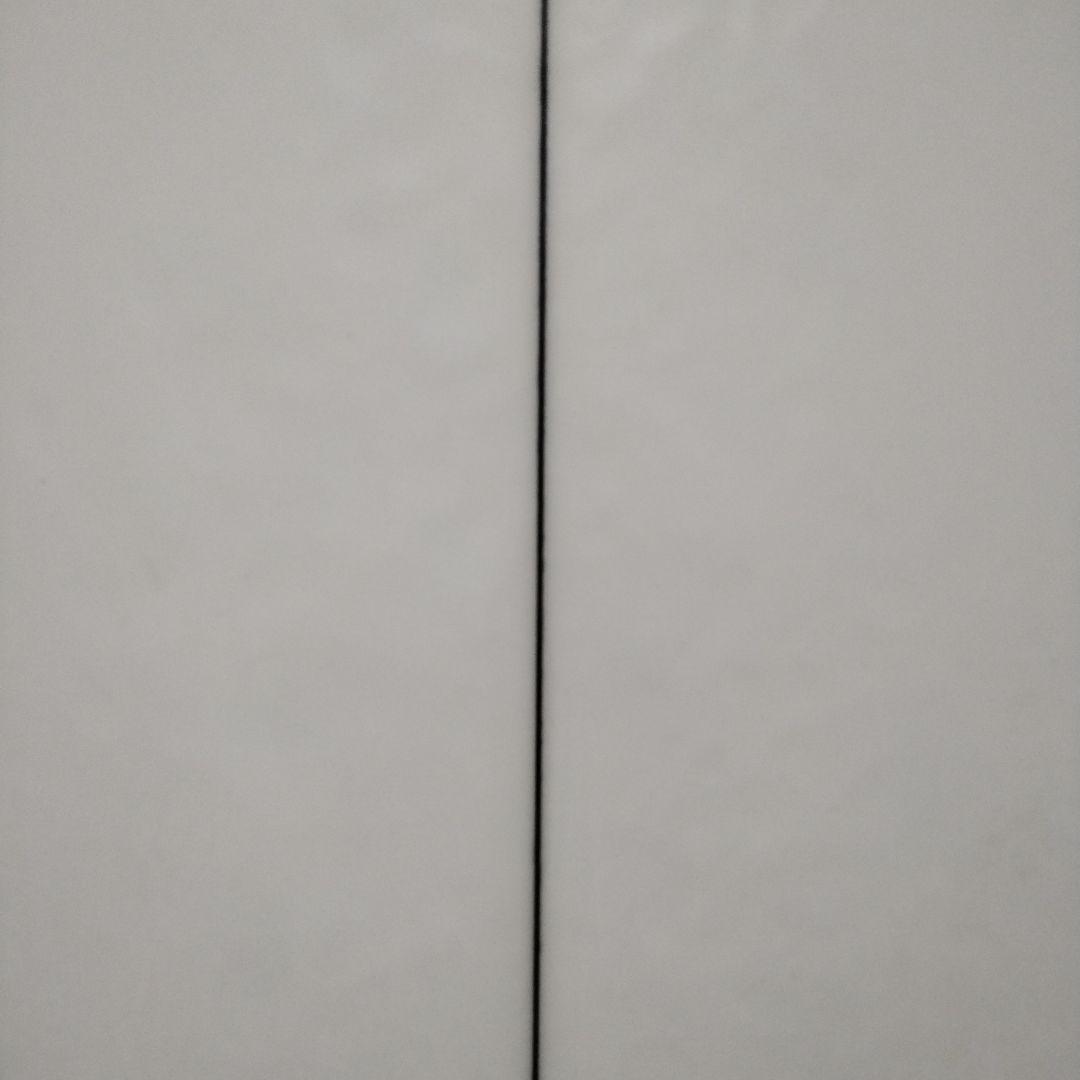 パイゼルサーフボード Red Tiger 5'10 手渡値引有り ハードケース付