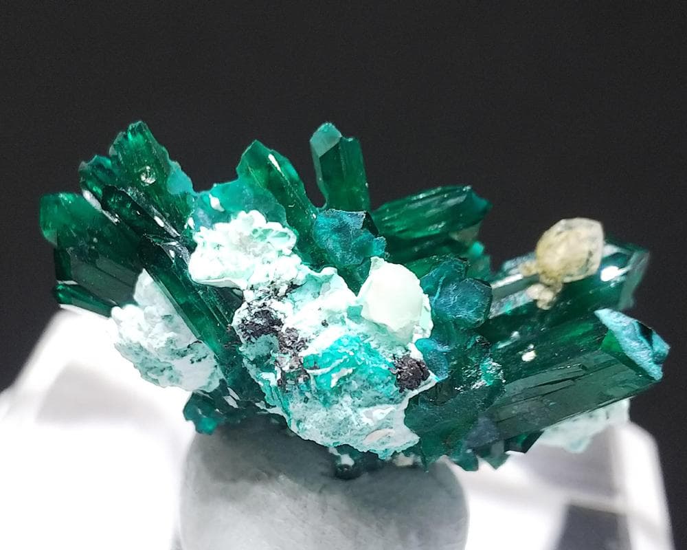 482 ダイオプテーズ 翠銅鉱 クラスター コンゴ産