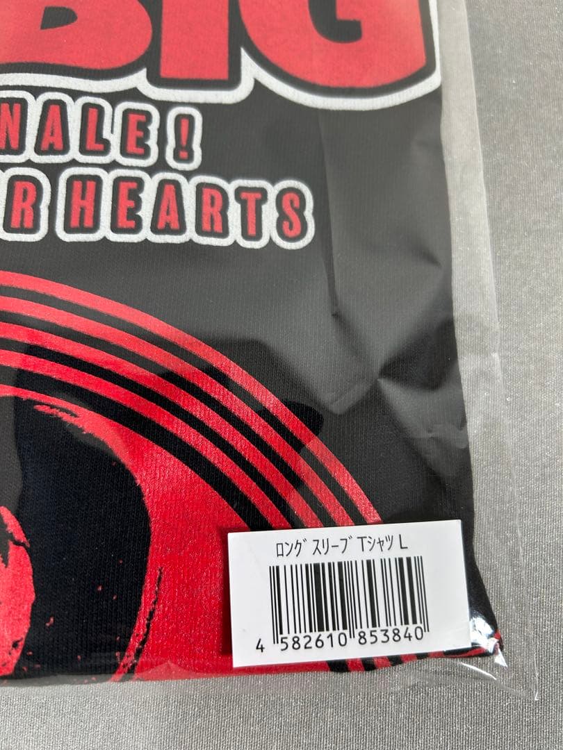 新品　MR.BIG ミスタービッグ　2025ラストライブ　武道館　ロンTシャツ