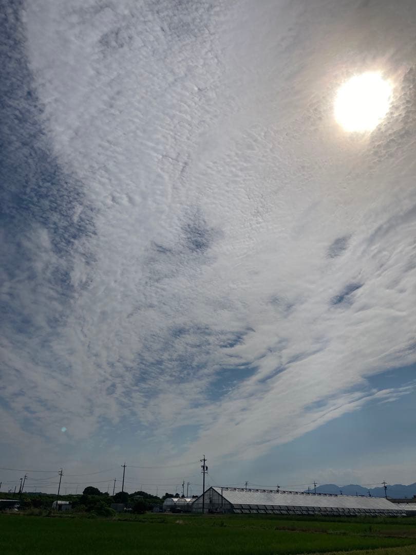 こだわりのお米　つきあかり　生産者直送　精米10キロ　令和7年度産