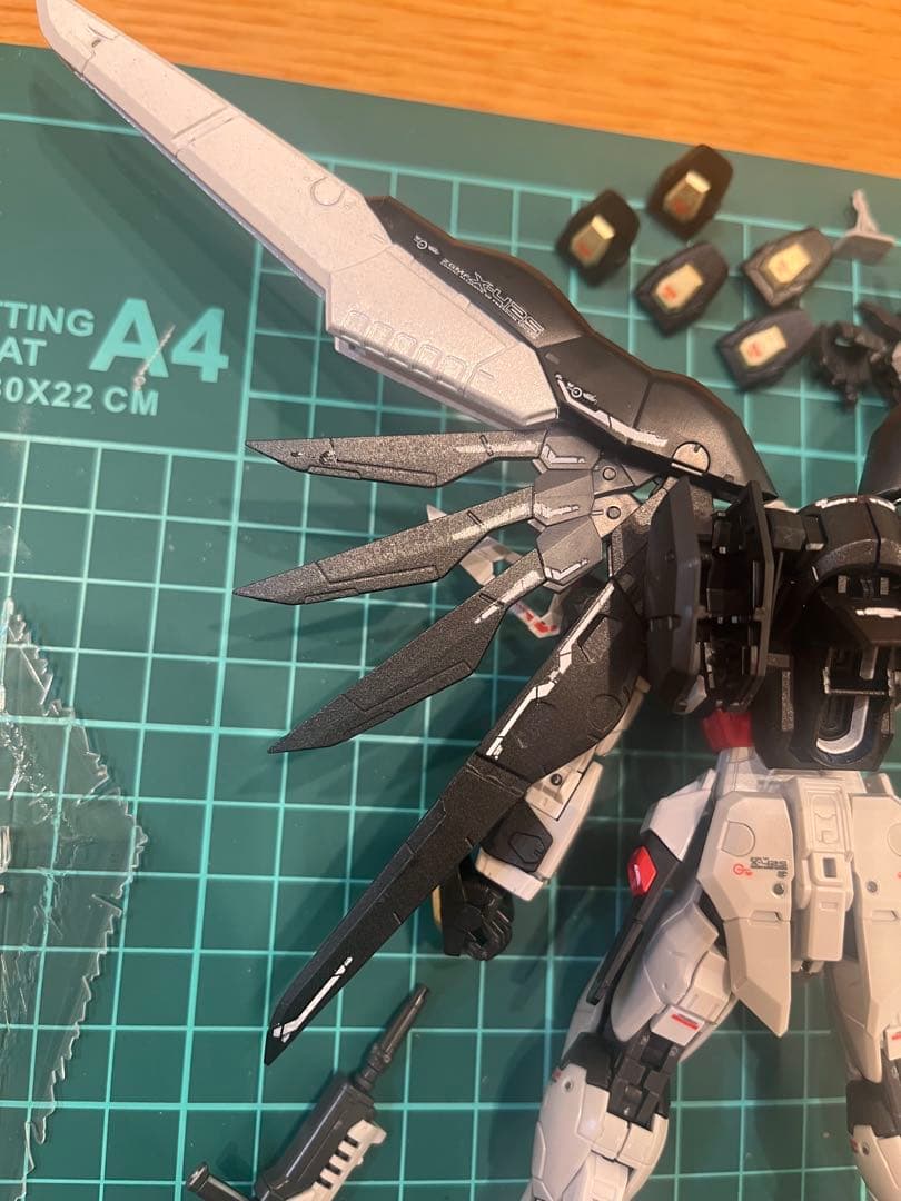 RG デスティニーガンダム全塗装完成品