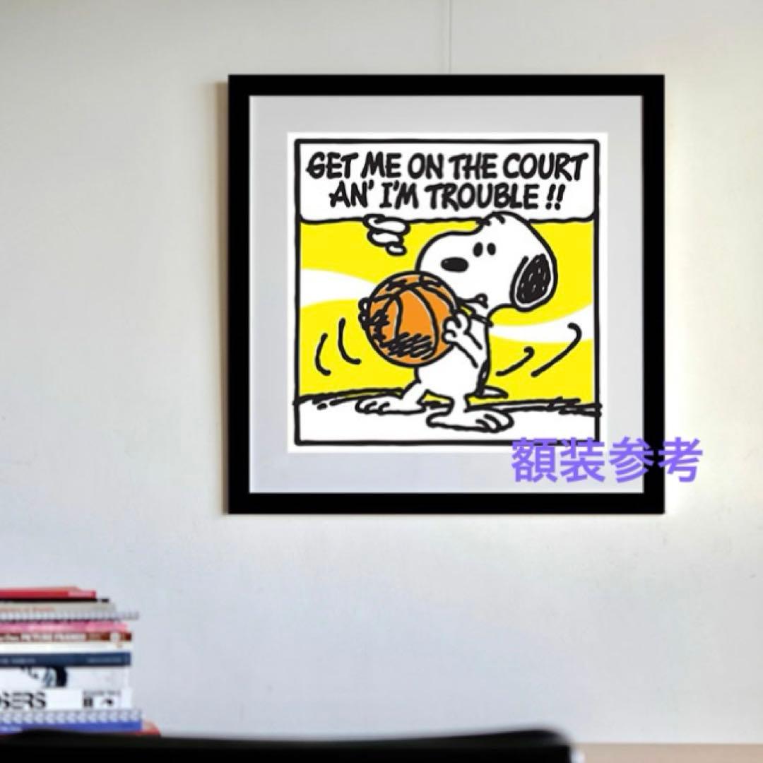 MARK DREW シルクスクリーン KAWS トムエバハート スヌーピー