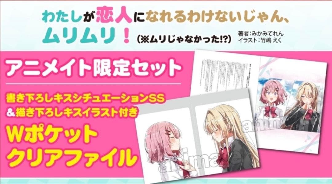 わたしが恋人になれるわけないじゃん アニメイト特典 クリアファイル　みかみてれん