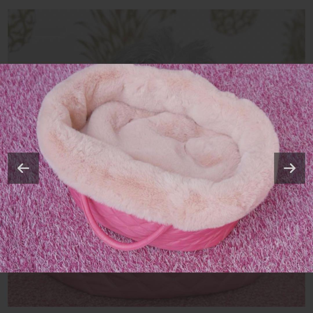 FA-FA×Luxebirdie 20thスリーパーファーバッグ キャリーバッグ