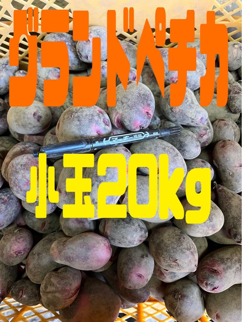 グランドペチカ小玉20kg