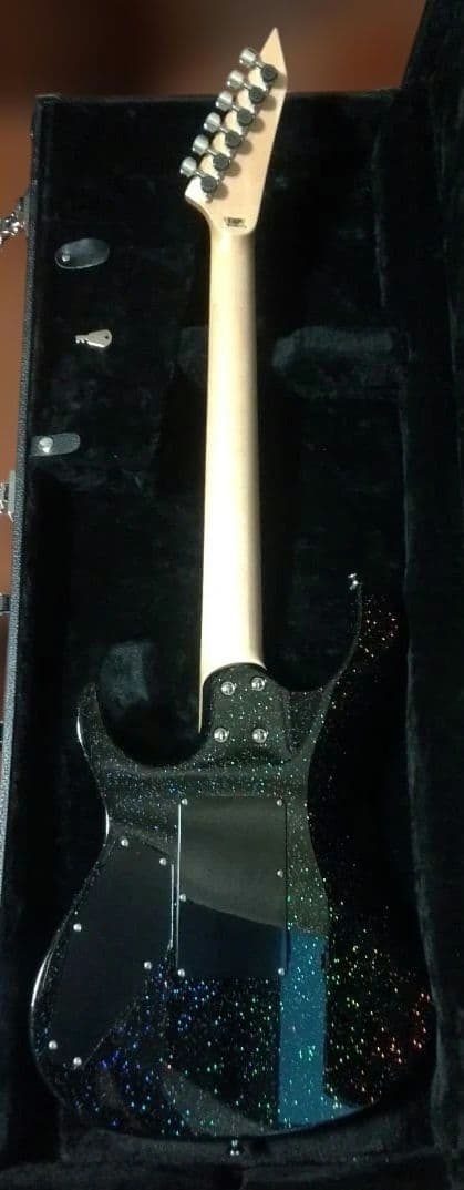 ESP MAVERICK マーベリック チタンメタル ローズウッド