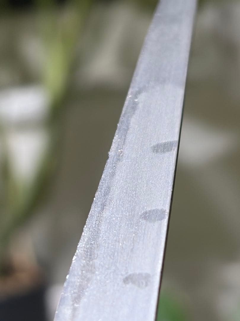 合法寸法　15cm未満　菊紋　雷除　小柄　小刀　日本刀　刀装具 伊賀守藤原金道