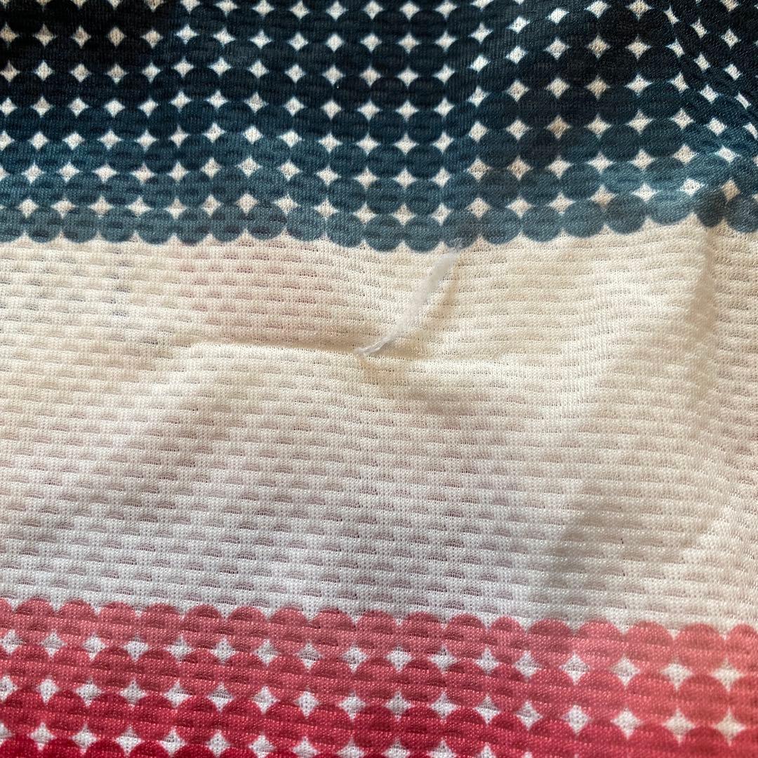 Audax Japan サイクル記念ジャージ　200 300 2着セット