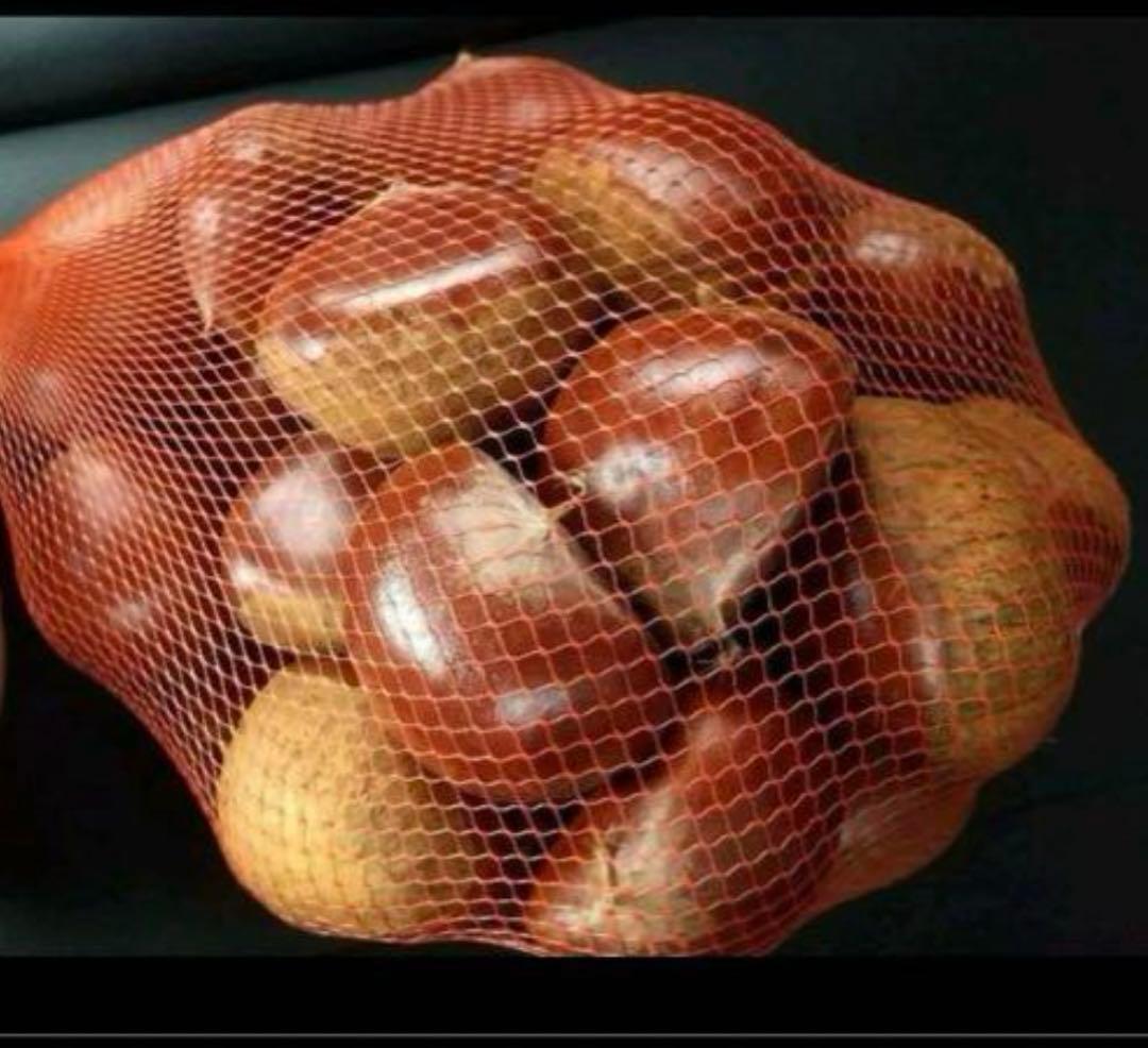 【ケンケン】茨城県産　生栗3〜4L 13kg