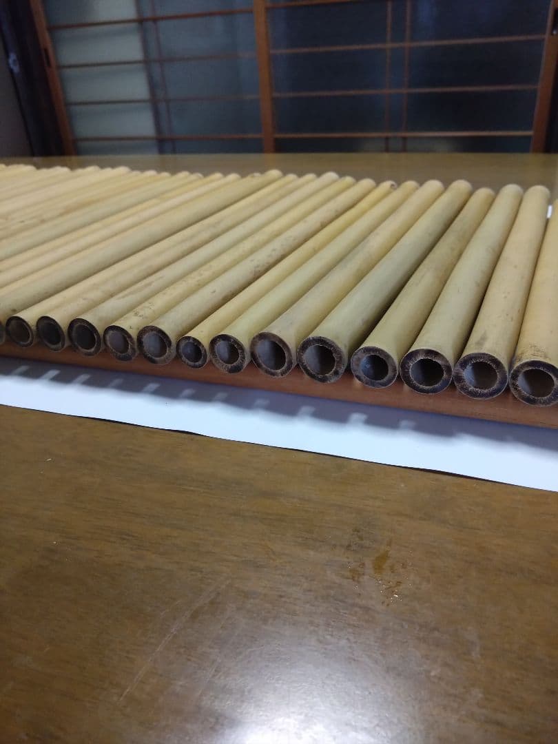 女竹　35本セット