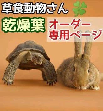 乾燥葉 乾燥野菜 ◎セミオーダーページ◎ ウサギ ハムスター リクガメ 他