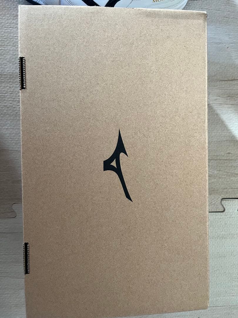 シューズ Mizuno Morelia TF 25.0