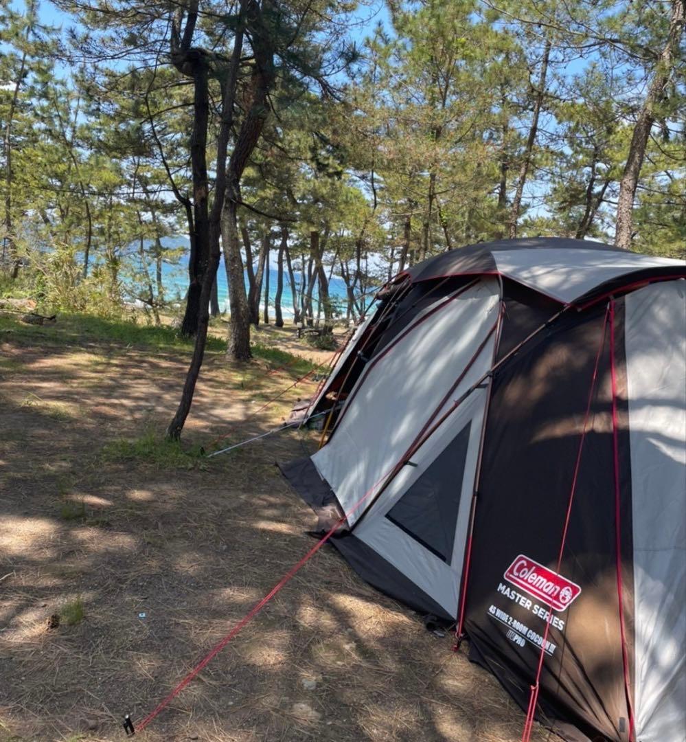 二児のパパ コクーン①