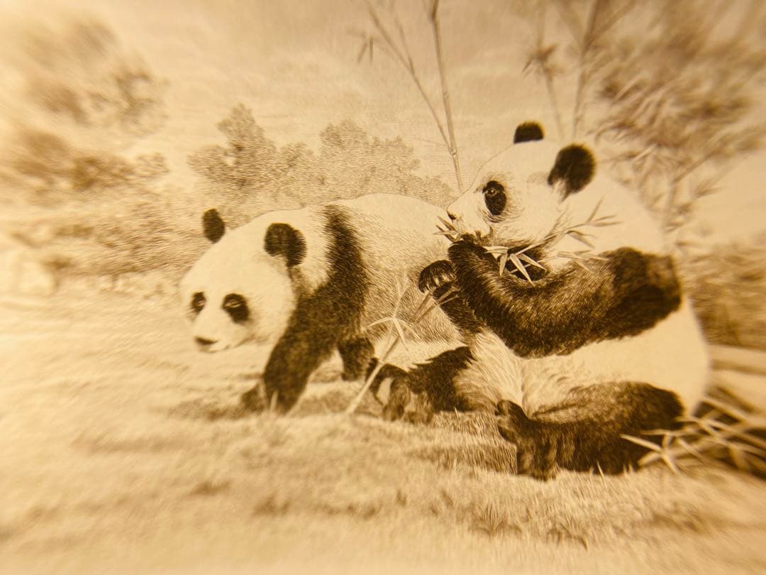 パンダ　造幣局　原稿用紙　本物保証　古札まとめ