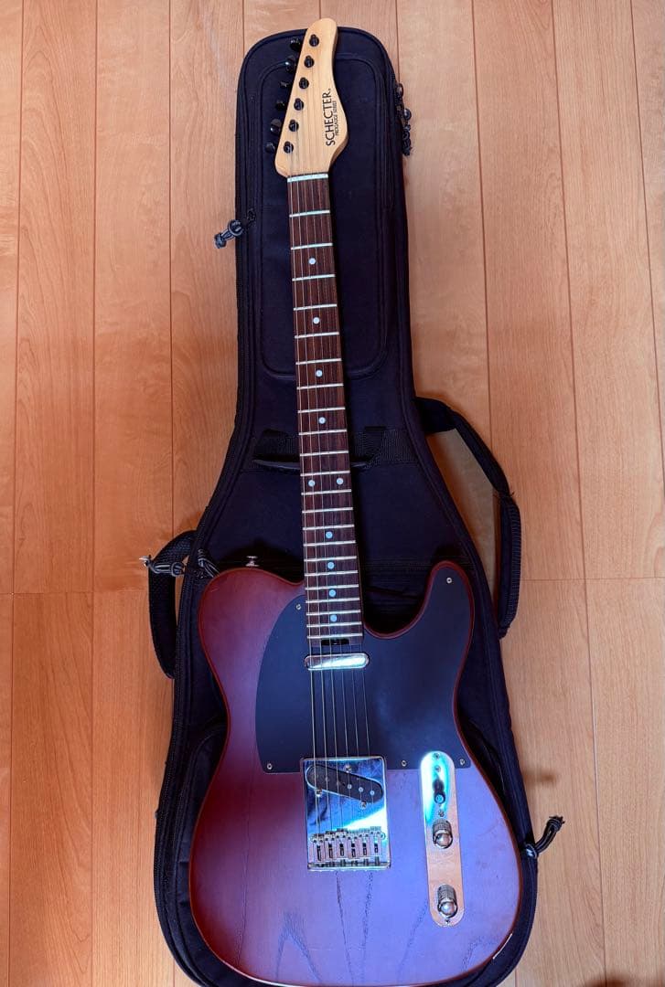 SCHECTER PROGAUGE PS-S-PT ロック式ペッグ交換済み品