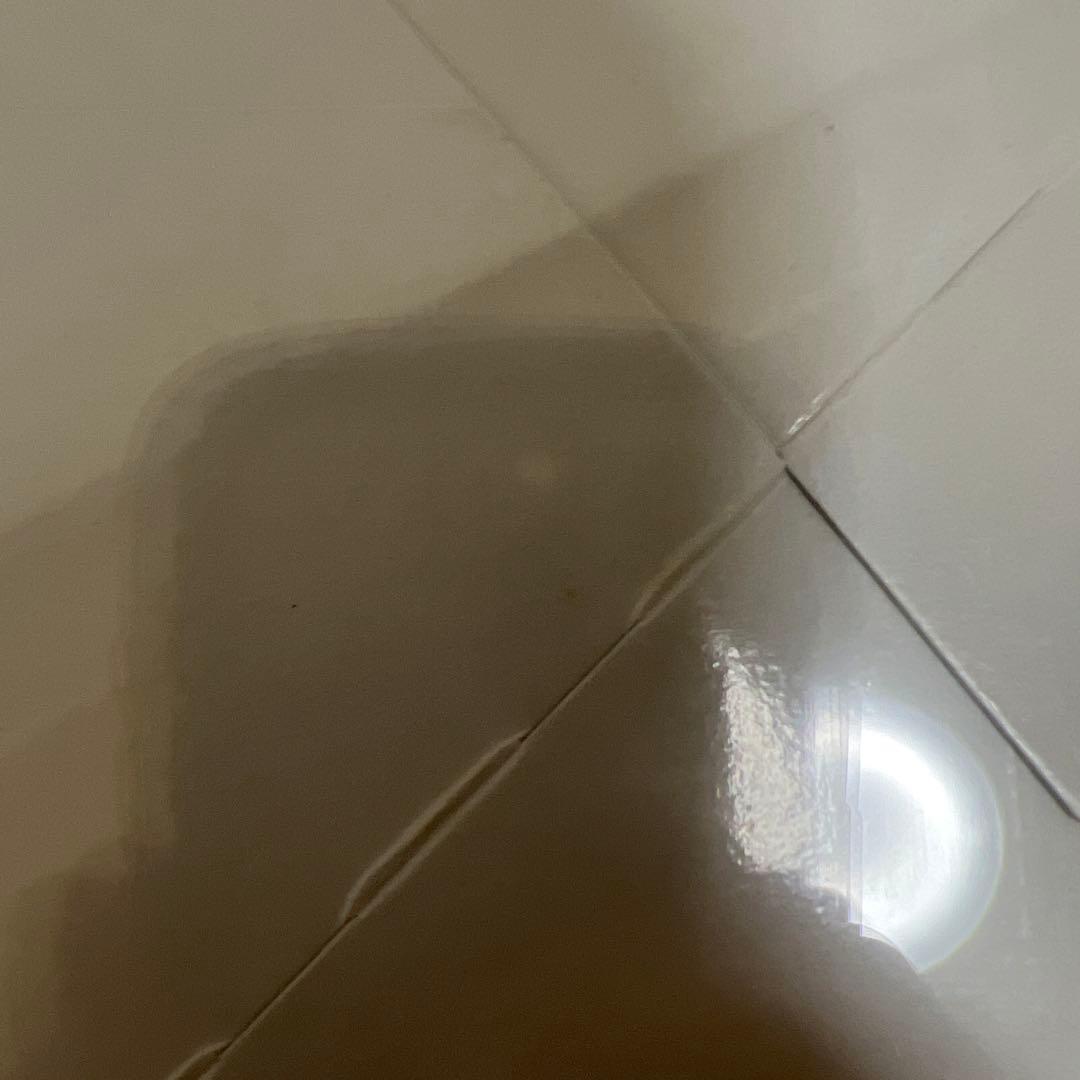 遊戯王　アヌビスの呪い box シュリンク付 絶版