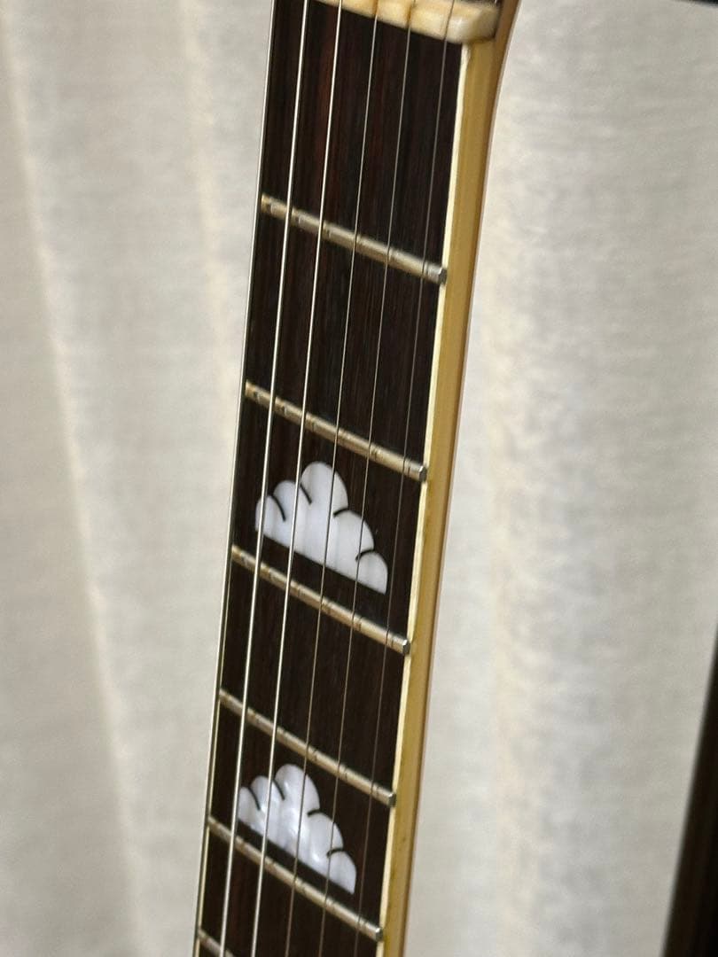 Fernandes BURNY MG-80X （MG-120X）BLK