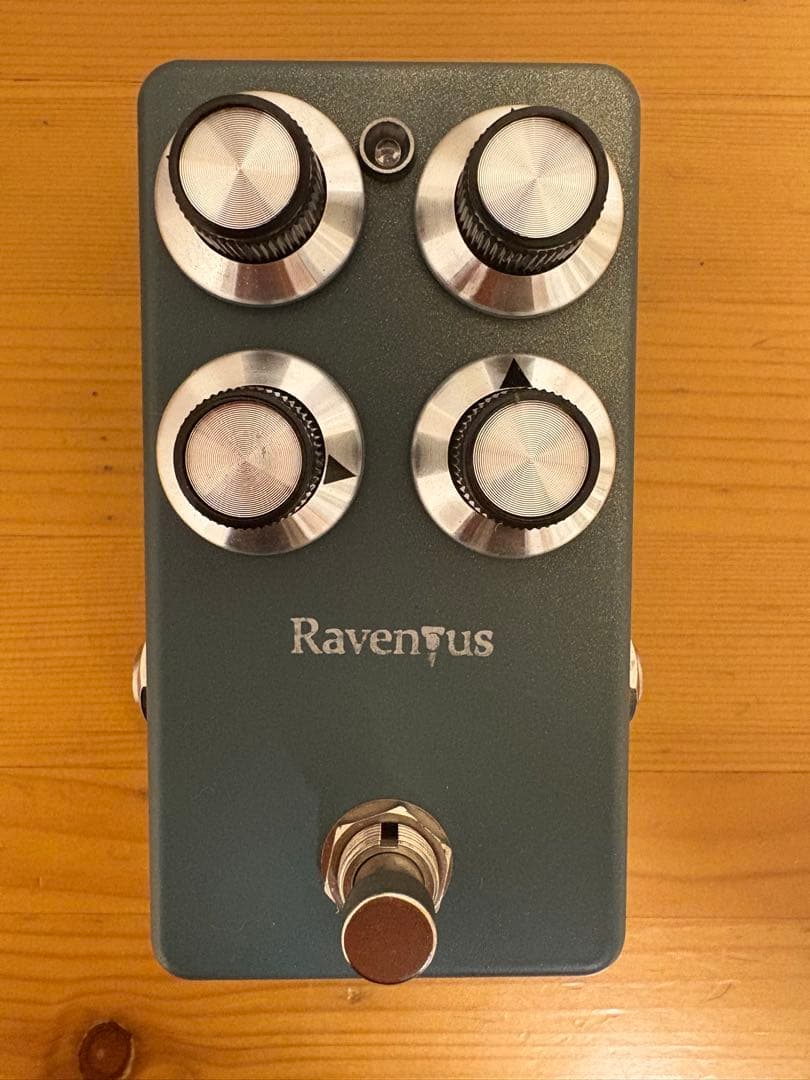 ギター 1995fx Ravenus